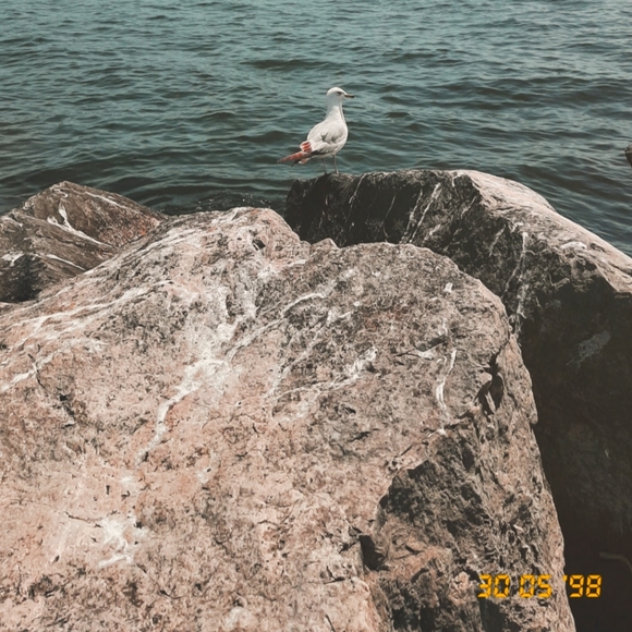 Meet your Posher, Trudy - Picture 6 of 9